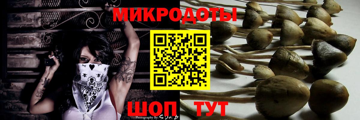 Псилоцибиновые грибы Psilocybine cubensis Аша